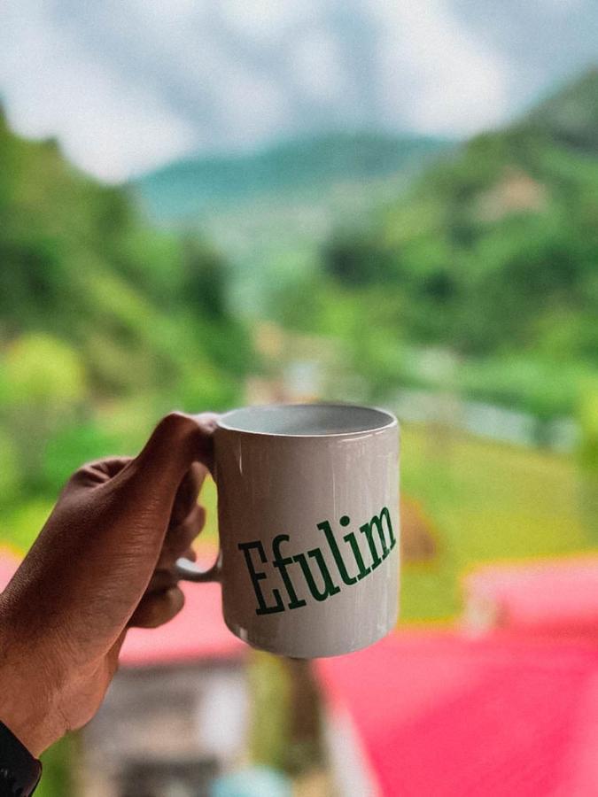 Efulim Apart Çamlıhemşin エクステリア 写真